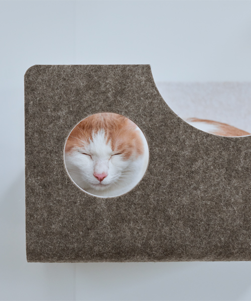 ボックス | キャットウォーク - 猫壁（にゃんぺき） | LIXIL