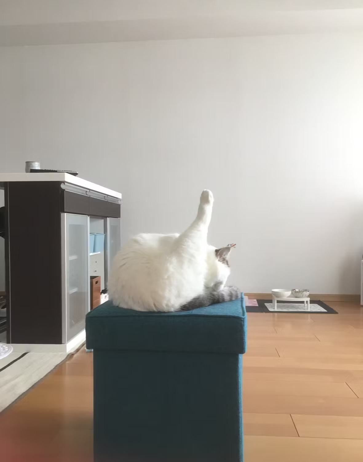 온라인 바카라사이트는 벽을 편안하고 쳐다보고