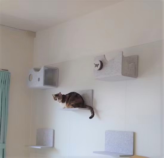 レビュー - 7ページ目 | キャットウォーク - 猫壁（にゃんぺき） | LIXIL