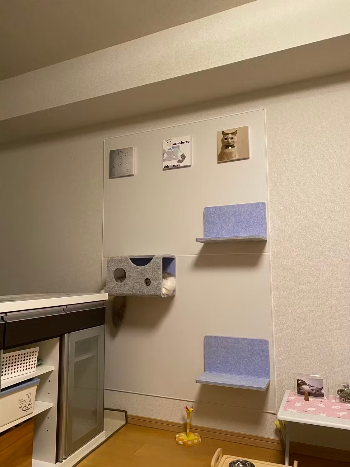 온라인 바카라사이트 벽에서 편안한 온라인 바카라사이트, 각도에서 이미지