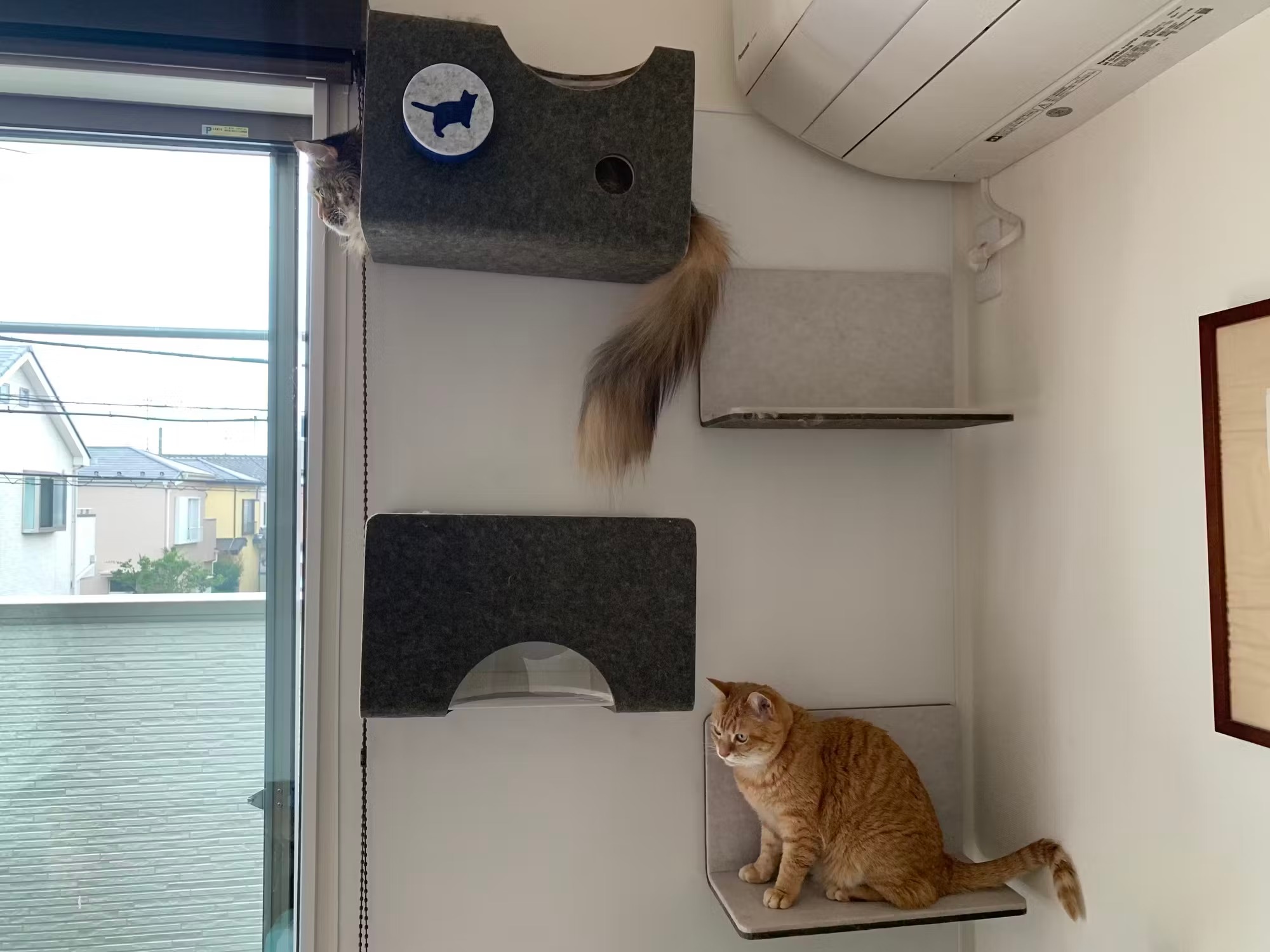 거실에 위치한 온라인 바카라사이트 벽에서 2 마리의 온라인 바카라사이트가 이완