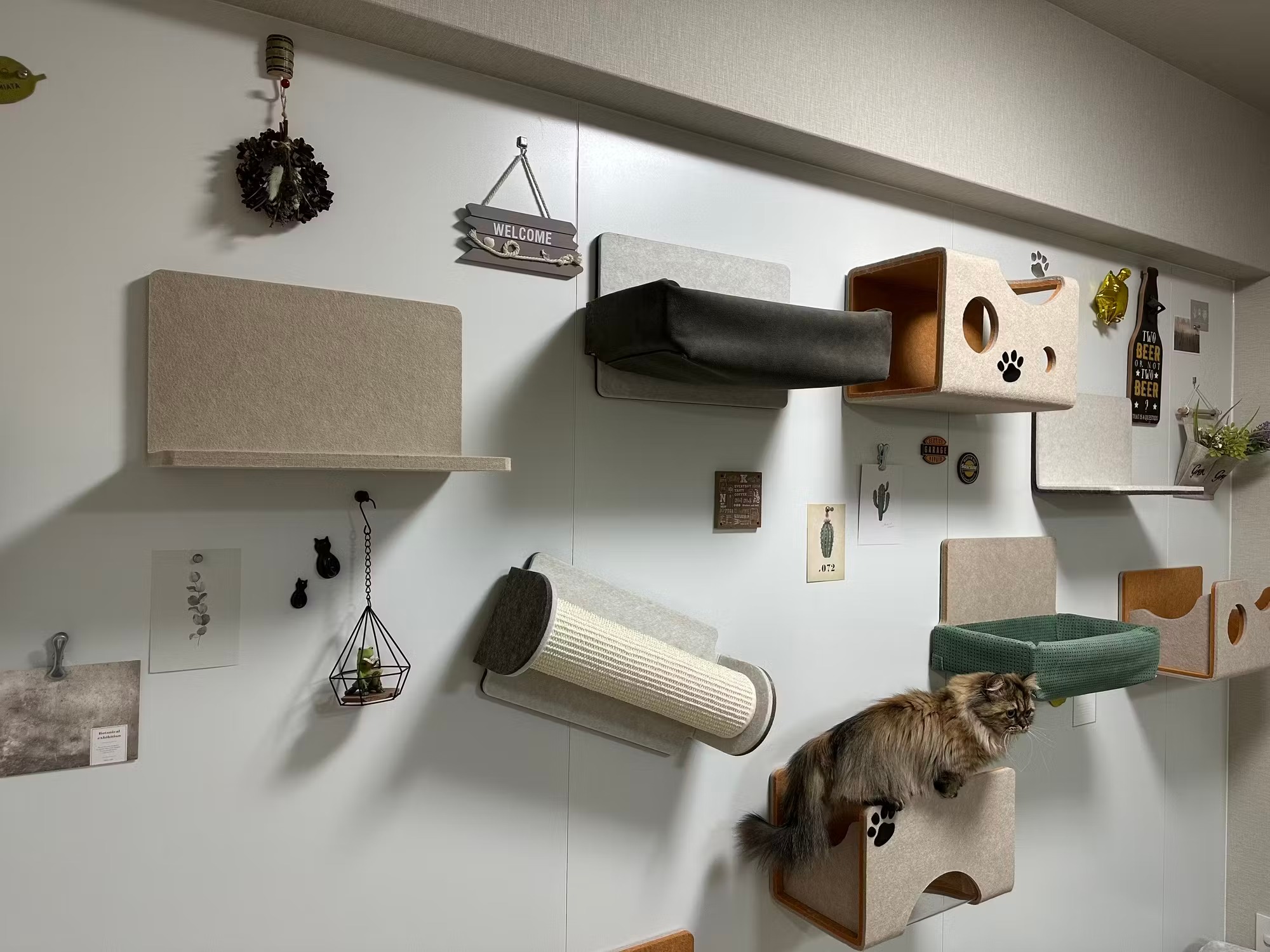 방에 배열 된 온라인 바카라사이트 벽, 상자에 타는 온라인 바카라사이트 투명 유형