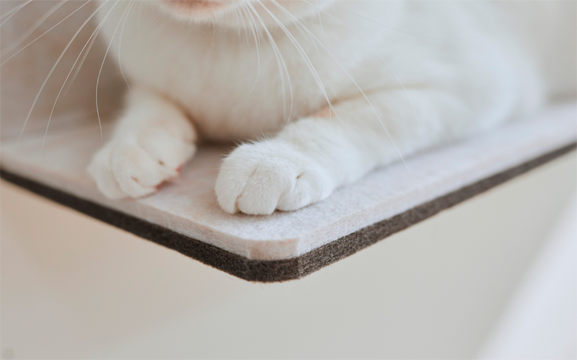 ねこページ】 猫ページ カード検索 ｜ Z/X - Zillions of enemy X