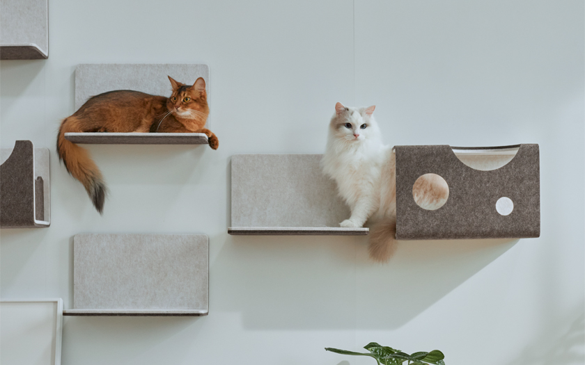 ボックス | キャットウォーク - 猫壁（にゃんぺき） | LIXIL