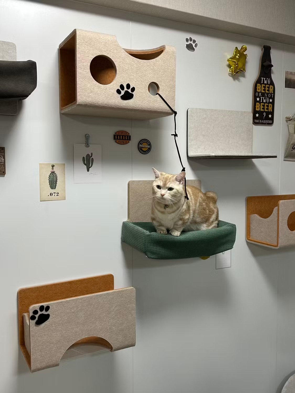 온라인 바카라사이트 벽은 방에 배열되어 있습니다