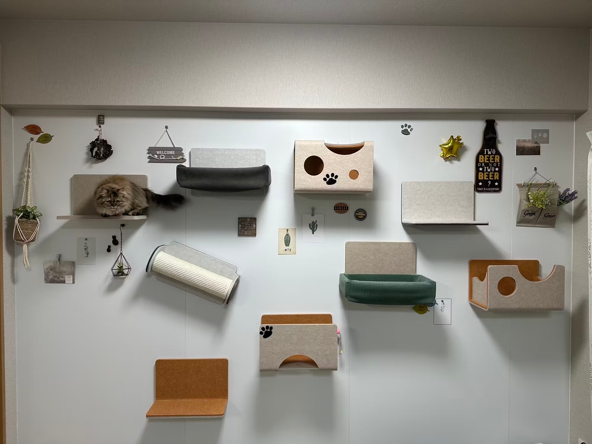 온라인 바카라사이트 레이아웃, 전면