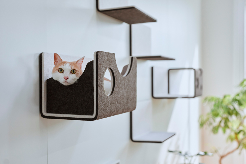 猫がボックスに顎を載せて寝ている