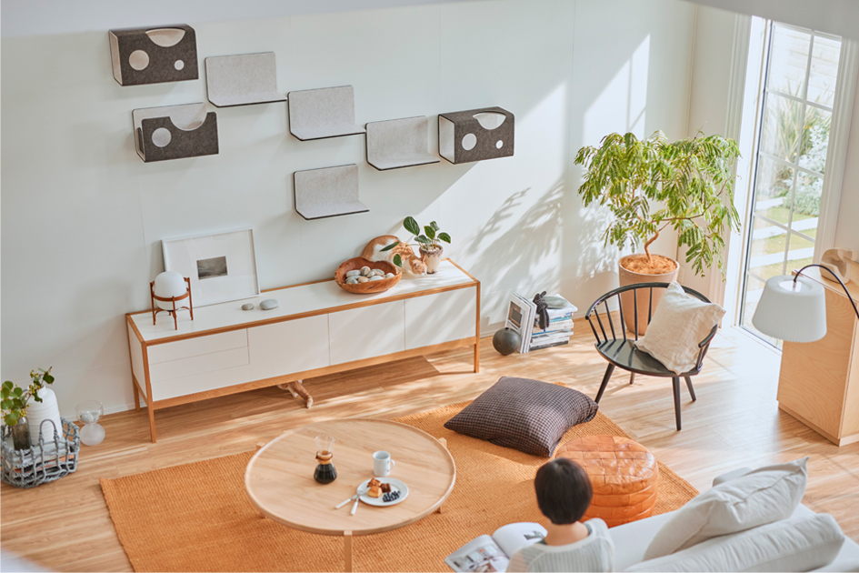 大きな壁一面にレイアウトされた猫壁に光が差し込んでいる