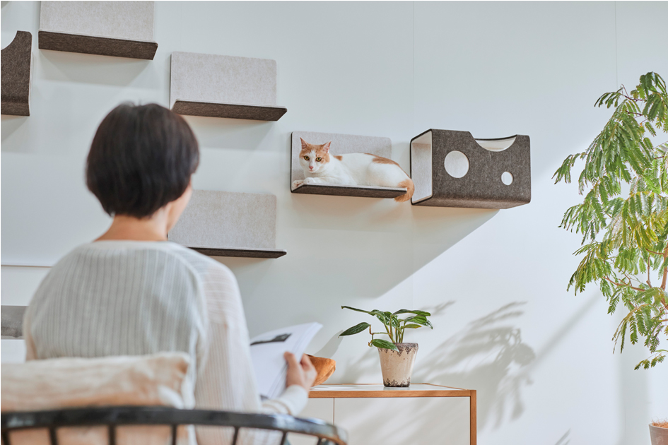 猫壁でくつろぐ猫を女性が座って見つめている
