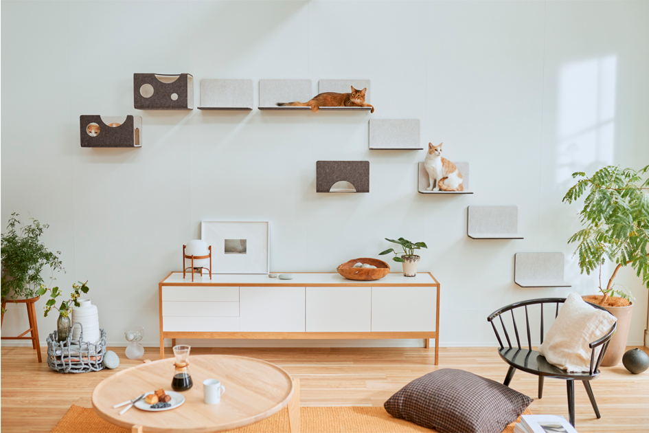 横に広がってレイアウトされた猫壁の上で猫がくつろいでいる