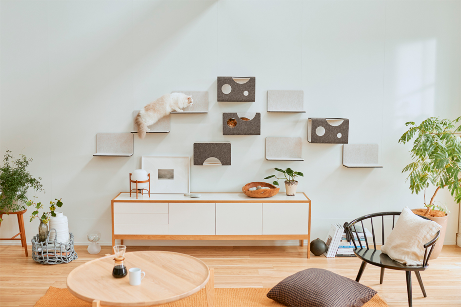 横に広がってレイアウトされた猫壁の上でステップ間を駆け降りる猫とボックスに収まっている猫