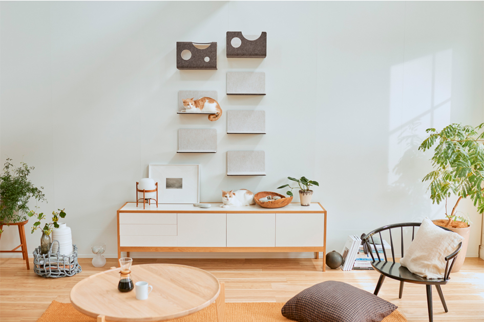 縦2列に並んでレイアウトされた猫壁のステップの上でくつろぐ猫