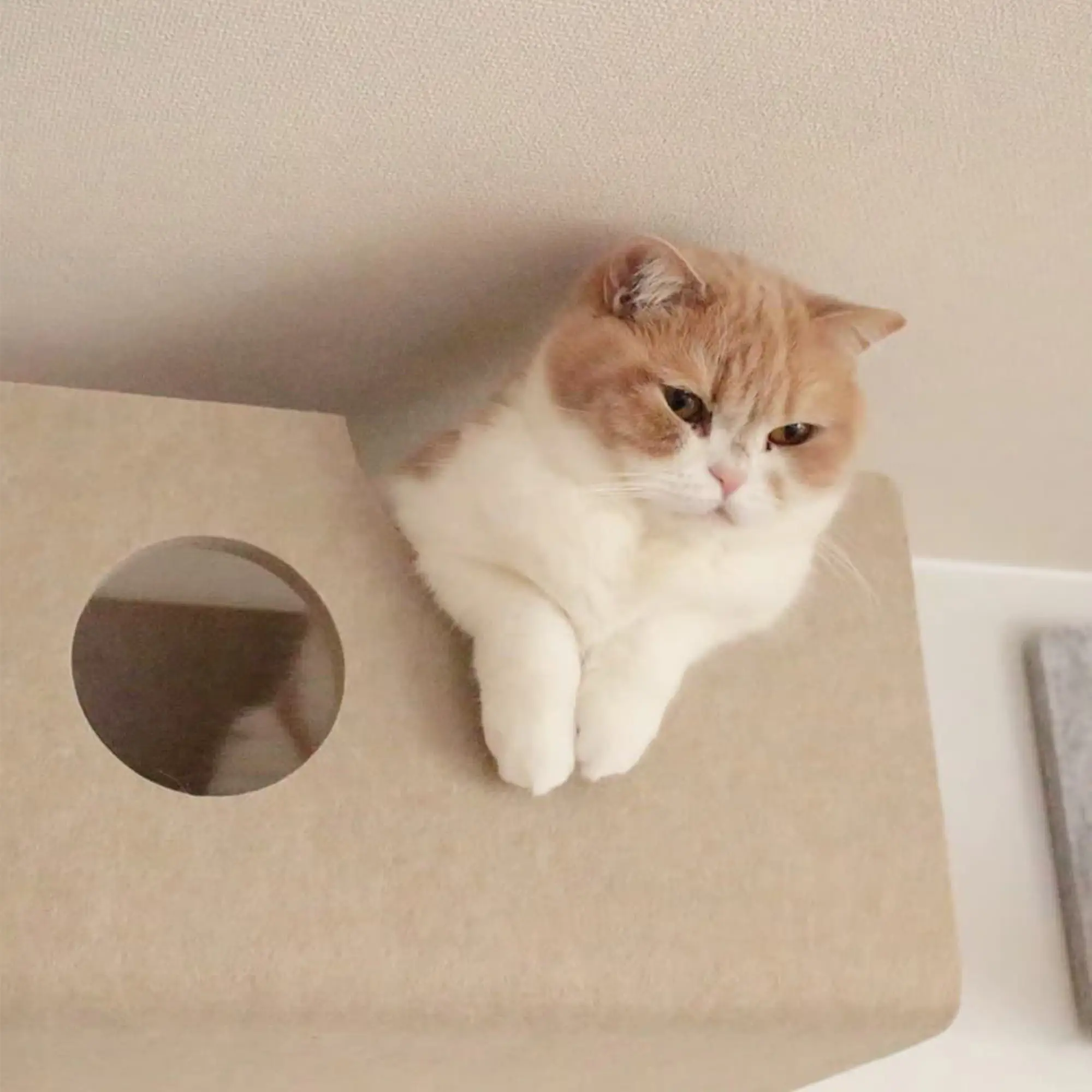 猫壁 LIXIL ボックス モカ&ライトベージュ ボックス | キャットウォーク - 猫壁（にゃんぺき） | LIXIL
