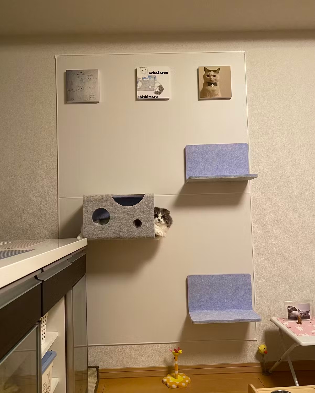 온라인 바카라사이트 벽에서 편안한 온라인 바카라사이트