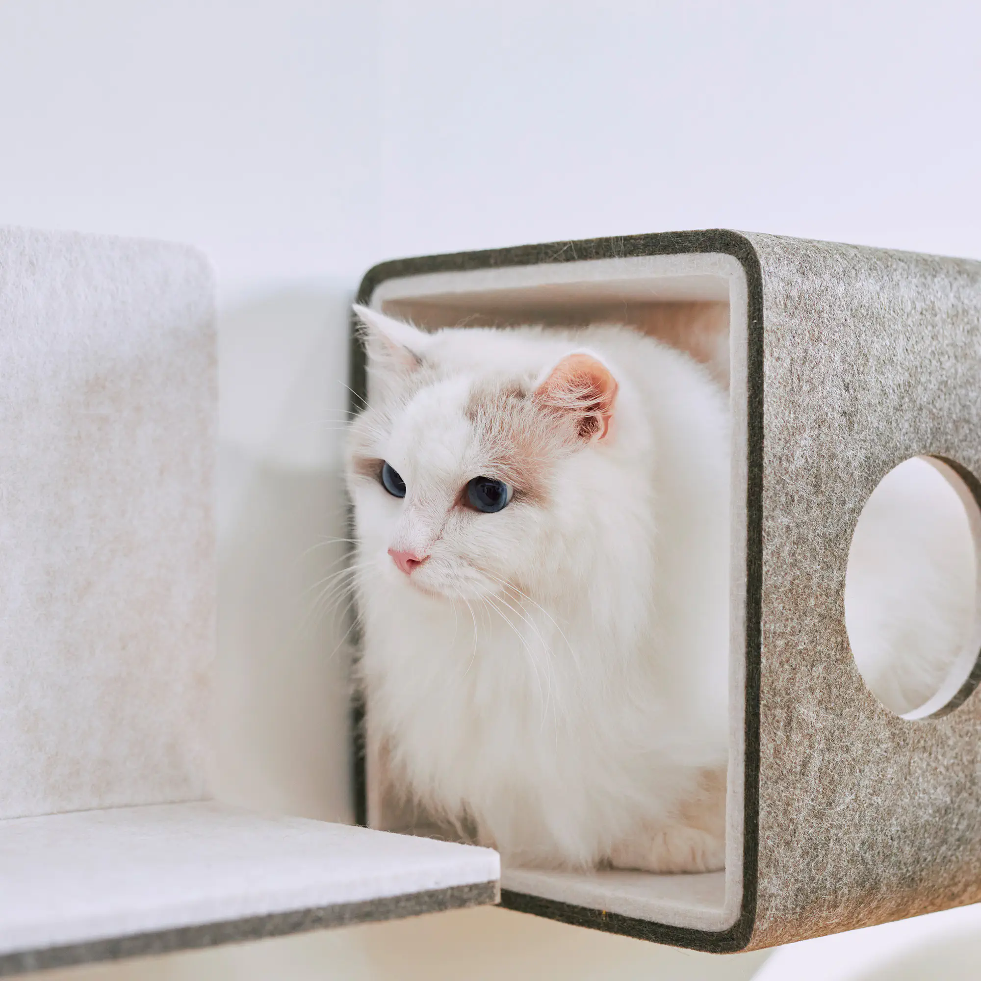壁掛け猫トンネル トンネル | キャットウォーク - 猫壁（にゃんぺき） | LIXIL