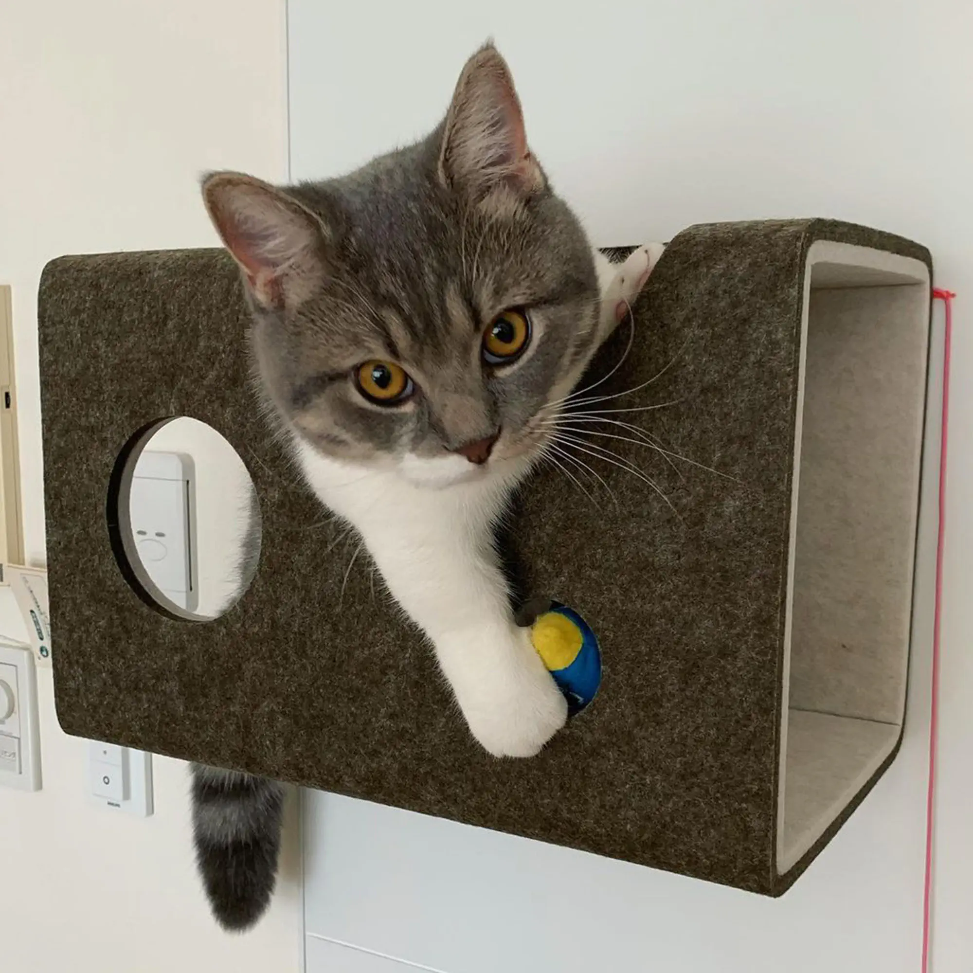 壁掛け猫トンネル Amazon.co.jp: LIXIL(リクシル) キャットウォーク 猫壁(にゃん