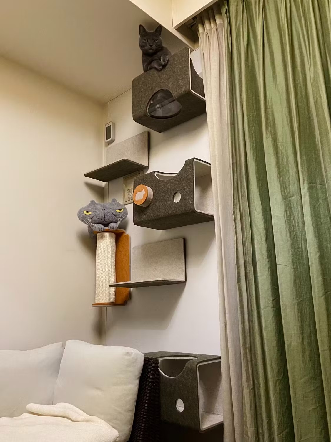 소파 옆에 온라인 바카라사이트 설정