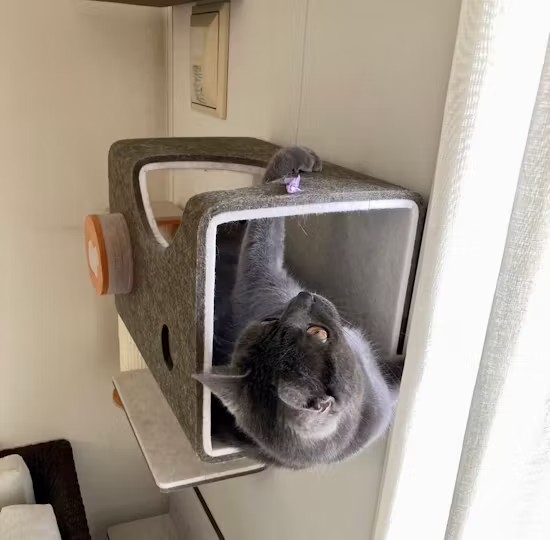 온라인 바카라사이트는 터널에서 휴식을 취하고 있습니다