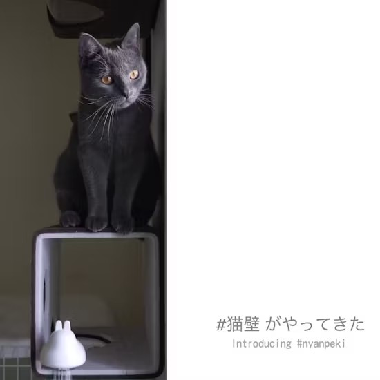 터널 위의 창문을 바라 보는 온라인 바카라사이트