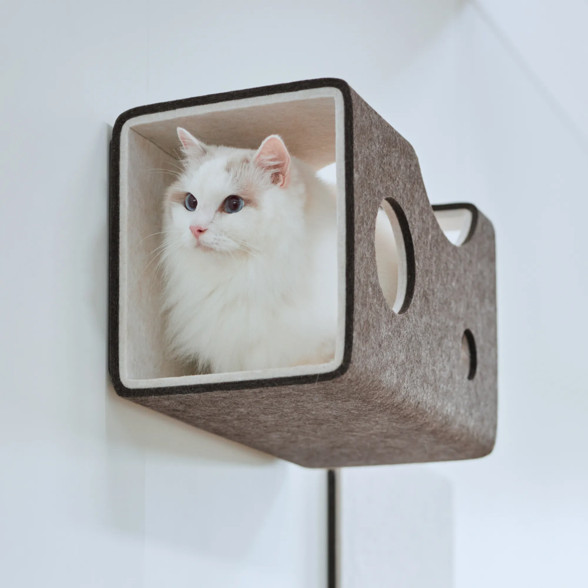 トンネル | キャットウォーク - 猫壁（にゃんぺき） | LIXIL