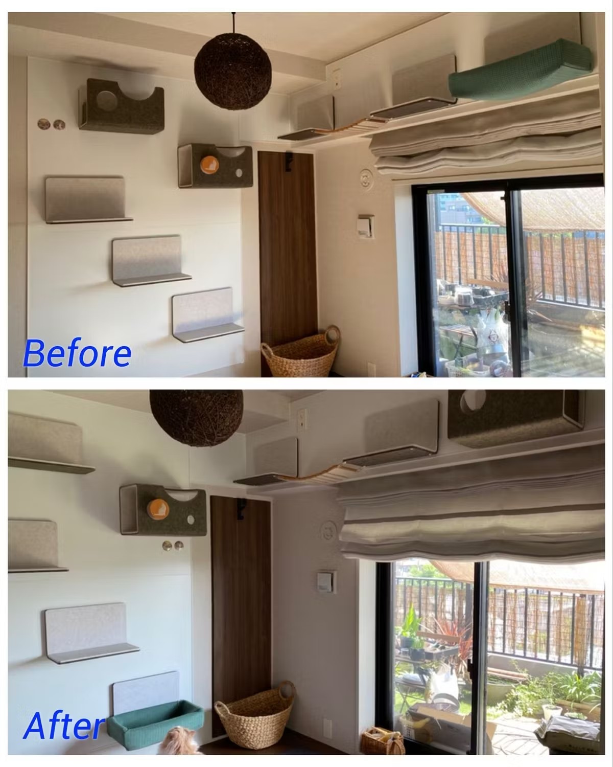 다이어그램 전후에 방에 배치 된 메이저 바카라사이트 장난감 벽 레이아웃 변경