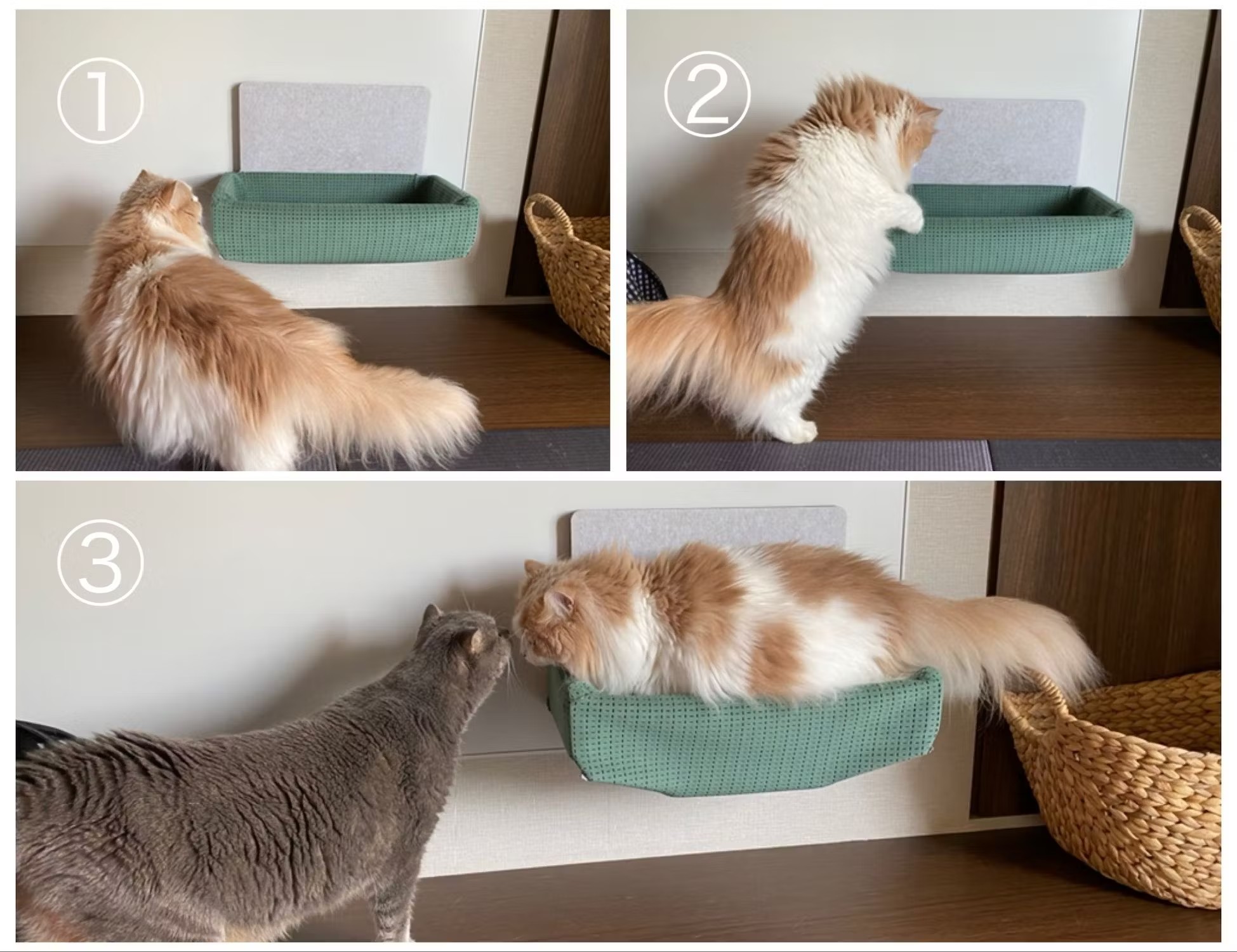 해먹에 들어가는 메이저 바카라사이트 장난감의 3 단계 이미지