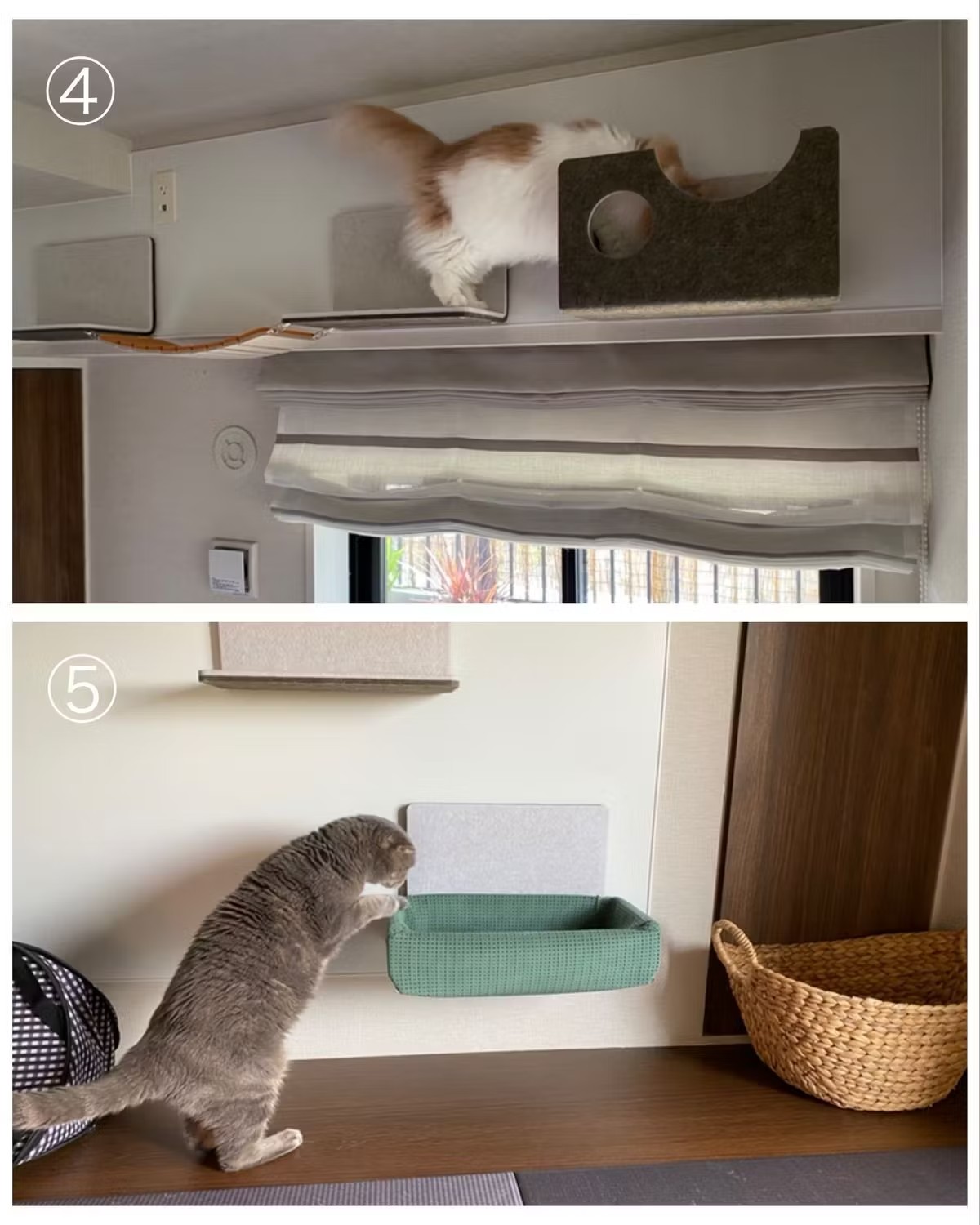 천장 근처에 위치한 메이저 바카라사이트 장난감 벽 위에 교차하는 메이저 바카라사이트 장난감의 이미지, 해먹에 대한 관심을 나타냅니다