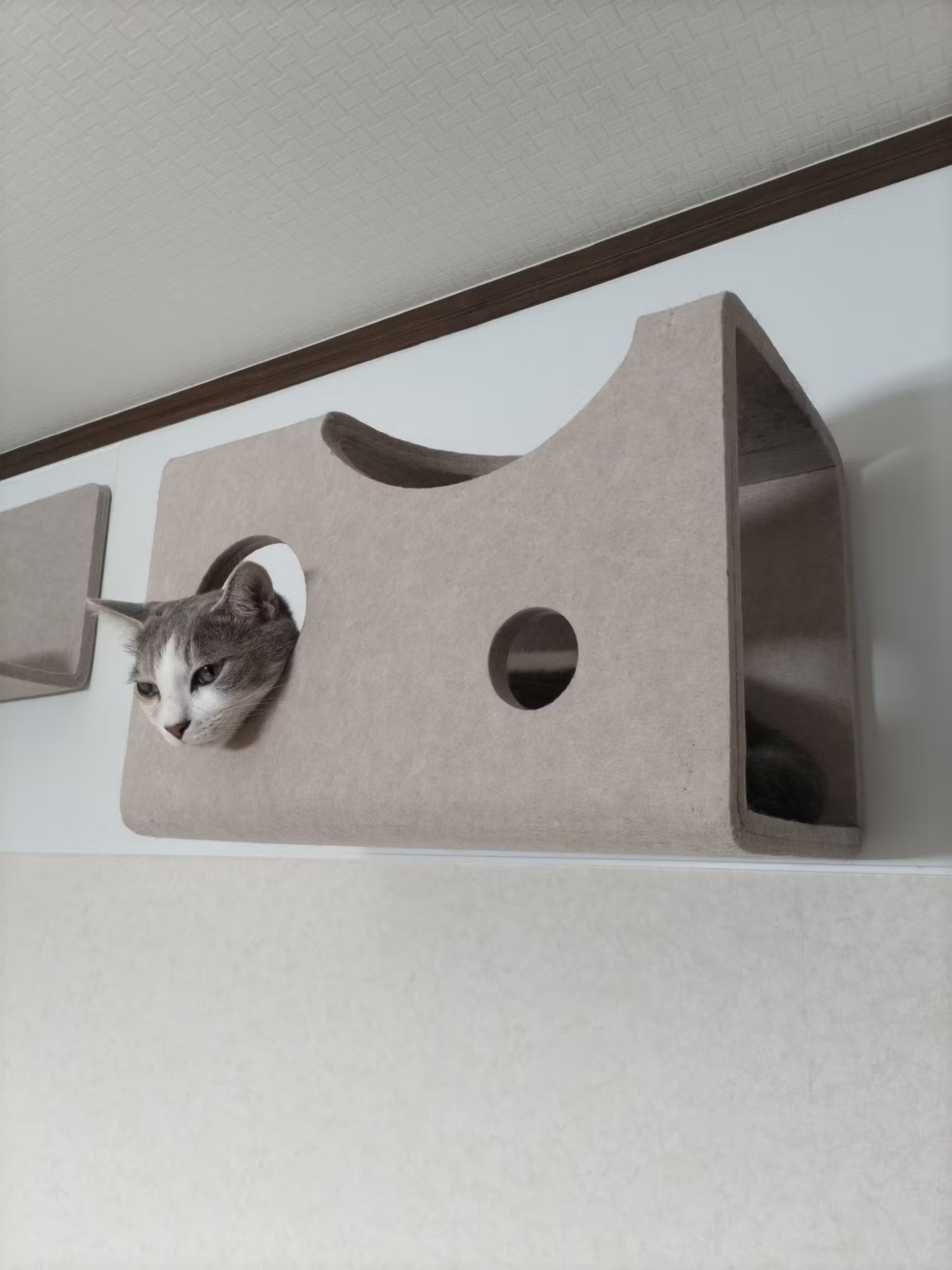 바카라사이트 쿠폰가 상자의 구멍에서 튀어 나와 있습니다