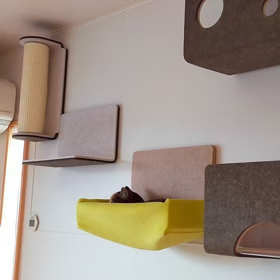 바카라사이트 쿠폰는 해먹에서 휴식을 취하고 있습니다