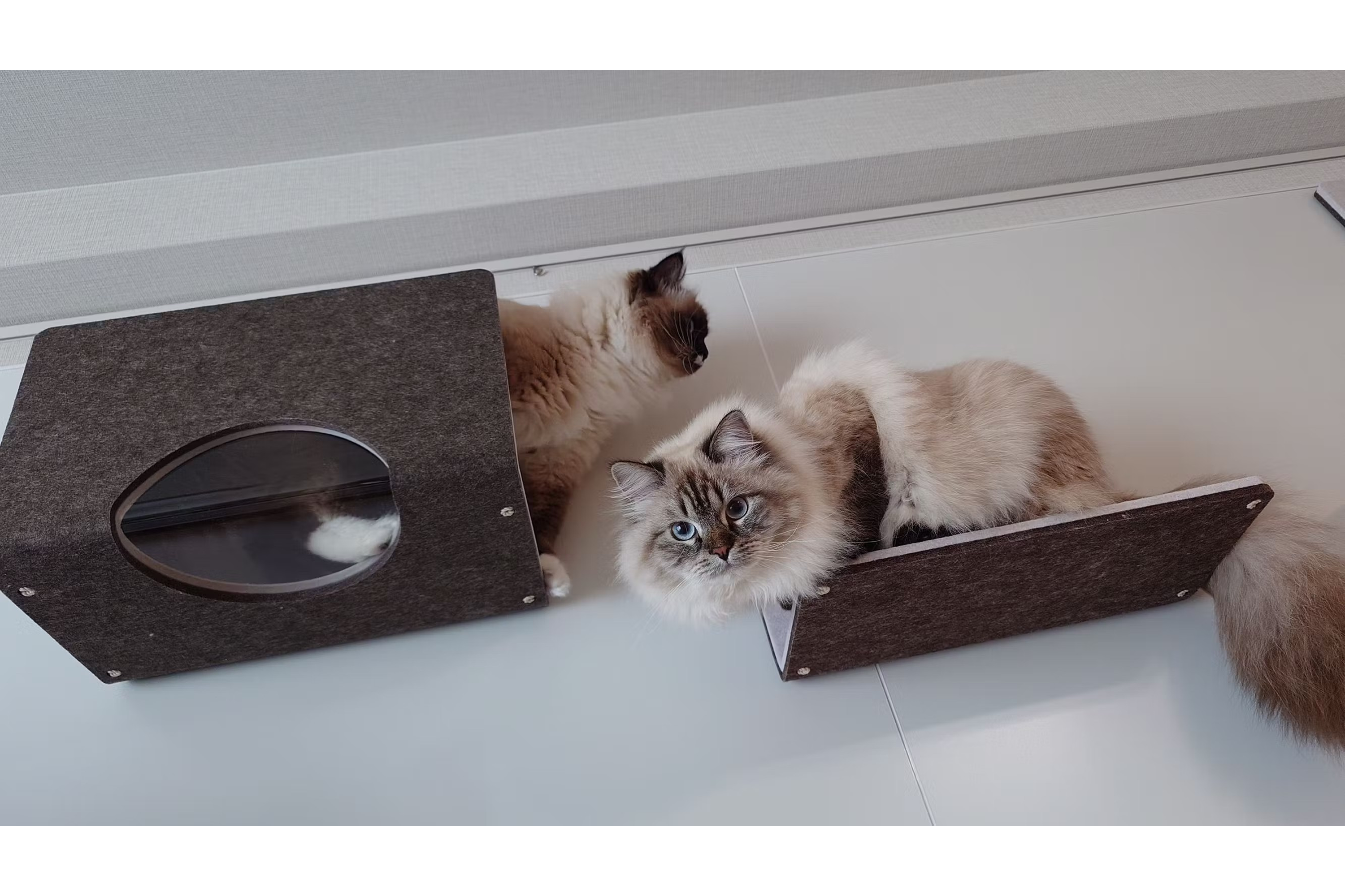 キャットウォーク - 猫壁（にゃんぺき） | LIXIL | キャット