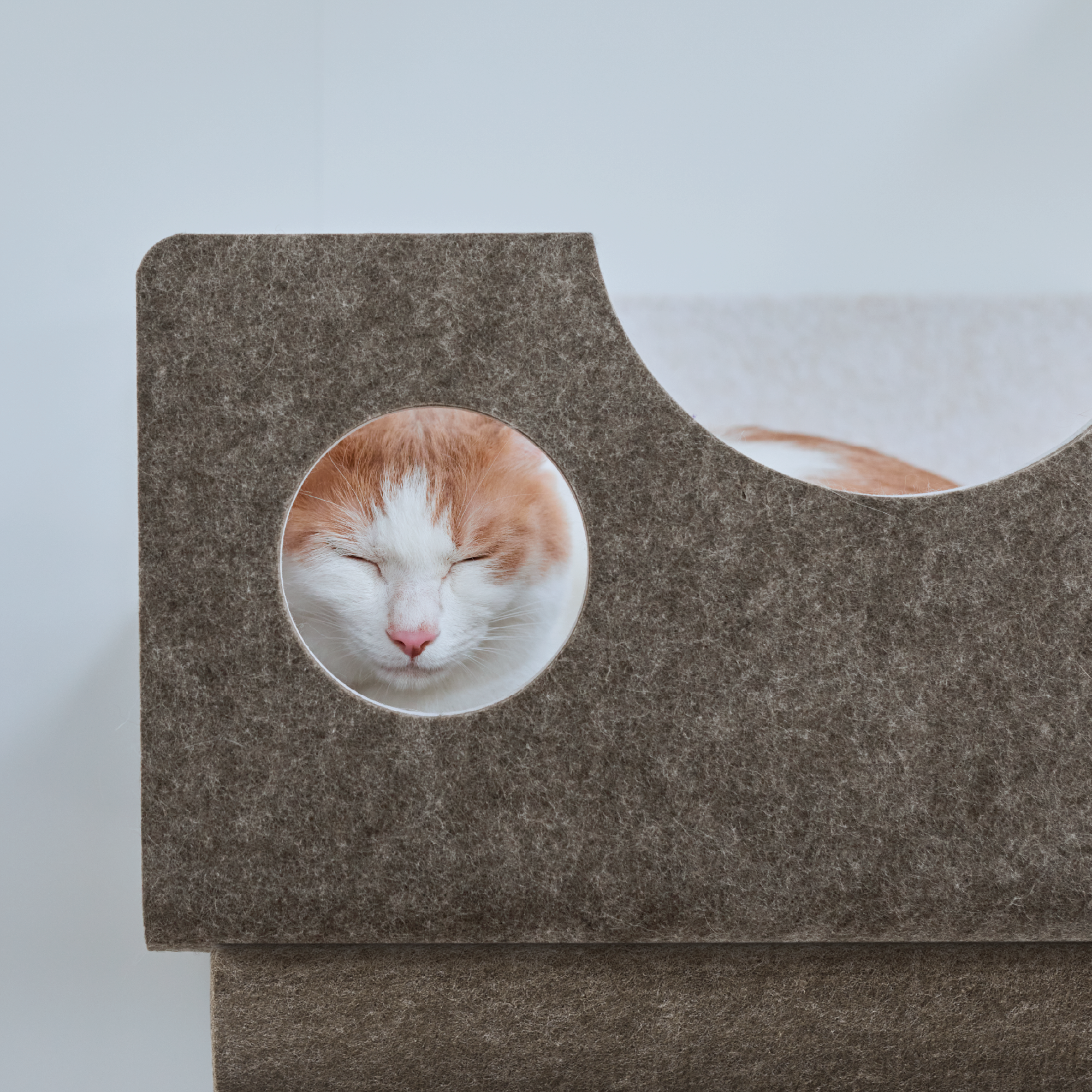ボックス | キャットウォーク - 猫壁（にゃんぺき） | LIXIL